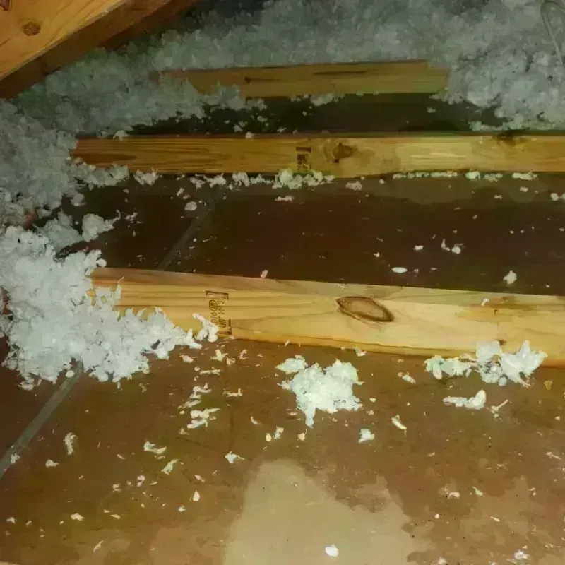 Attic Water Damage in Georgetown, SC